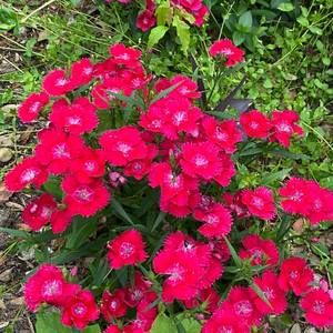 Meet your Posher, Thuy